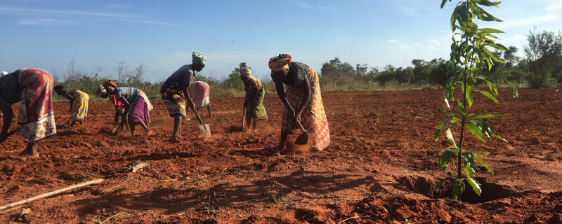 update-5e725fb04a3b6